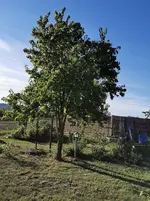 IMG_20211001_163326.webp