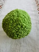IMG_20210930_170100.webp