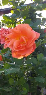 20211001_170348.webp