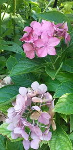 20211001_170557.webp