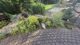 Blumenbeet Oma02.webp
