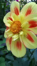 20211002_130433.webp