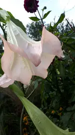 20211002_150422.webp
