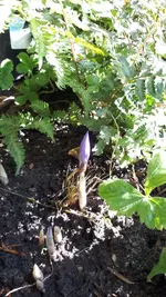 20211002_102518.webp