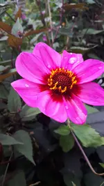 20210928_170148.webp