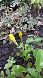20210928_173839.webp