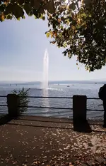 FontäneFN.jpg