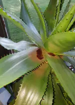 20211003_145349.webp