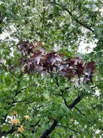 20211003_160459.webp