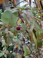 20211003_160547.webp