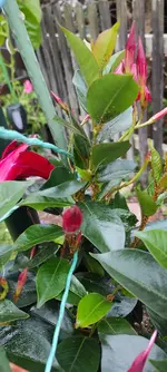 IMG_20211003_174829.webp