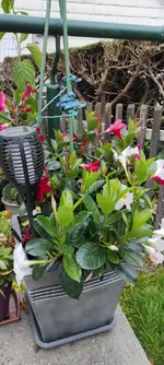 IMG_20211003_174858.webp