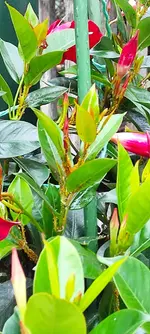 IMG_20211003_174916.webp