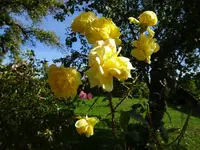 DSC02090.webp