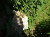 DSC02099.webp