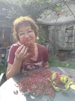 Szechuanernte.webp