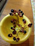 IMG_20211004_111633.jpg