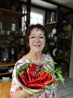 Pepperoniernte.webp