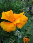 IMG_20211003_113315.jpg
