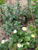 IMG_20211003_113237.webp