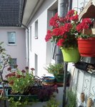 IMG_20211004_124906_846.JPG