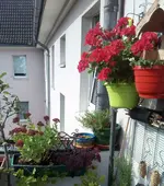 IMG_20211004_124906_846.webp