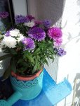 IMG_20211004_124830_305.JPG