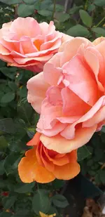 20211004_145743.webp