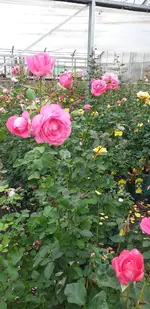 20211004_145718.webp