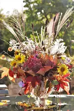 image001.webp image001.webp