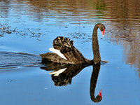 IMG_4455 v (2).webp
