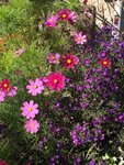 2018-09-16 11.16.17.jpg
