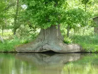 P1060205Aller.webp