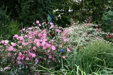 Okt.   1021.webp