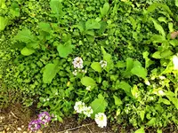 IMG_20211007_105850.webp