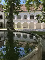 8757D02D-70F0-4A17-AD70-2A0F3426BDE8.jpeg