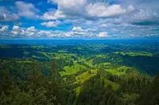 images.webp