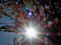 P1100251.webp P1100251.webp