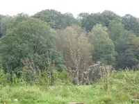 P1050342Ausblick.webp