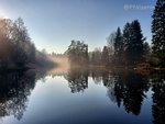 Sägemühlweiher ohne Nebel.jpg