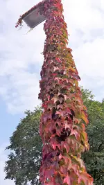 20211008_123059.webp 20211008_123059.webp