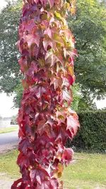 20211008_123105.webp