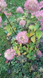 20211008_125049.webp
