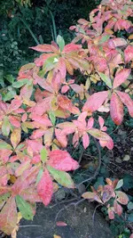 20211008_125104.webp
