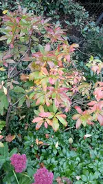 20211008_125133.webp