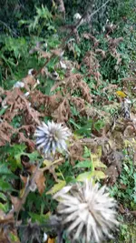 20211008_125217.webp