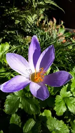 20211009_124126.webp