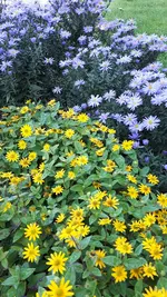 20211009_105511.webp
