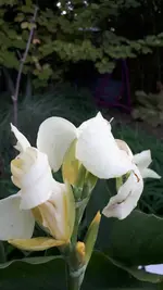20211008_174740.webp