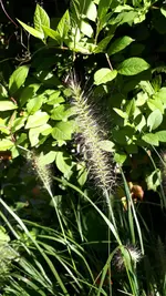 20211009_113205.webp
